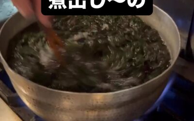 #魚のタナ
